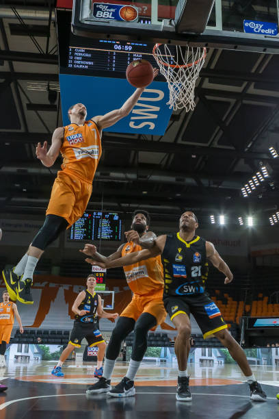 的稳健风格 的稳健风格